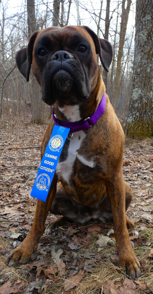 Aurora vom Norden, CGC